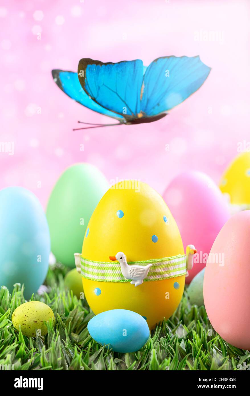 Painted Easter eggs and a butterfly Stock Photo Alamy