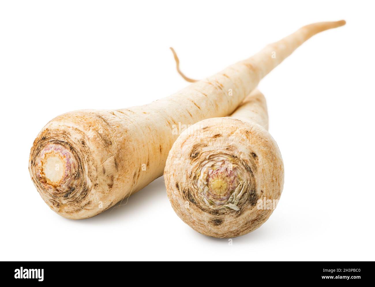 Parsley root close up Stock Photo
