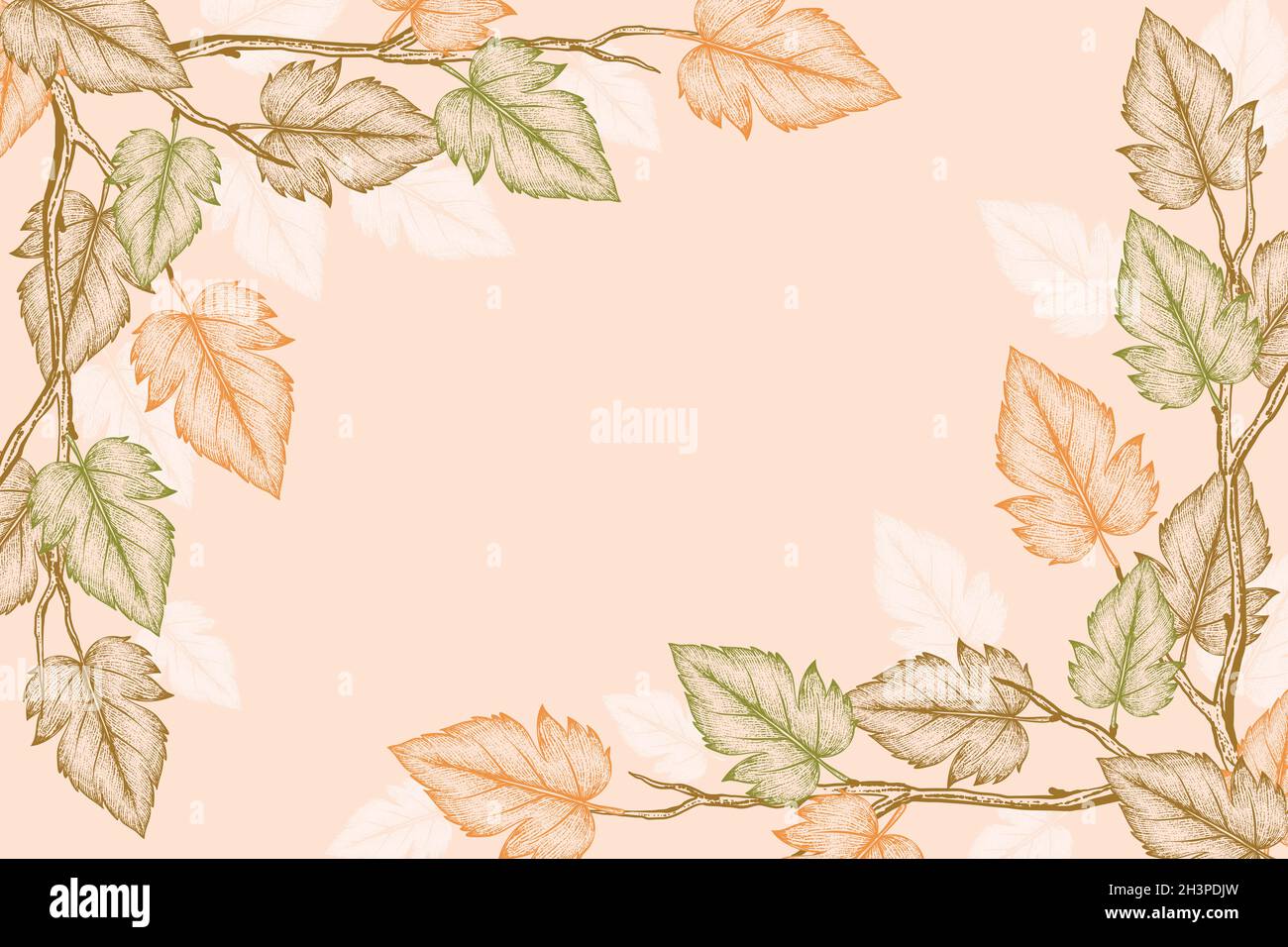 engraving hand drawn autumn leaves background vector design ...