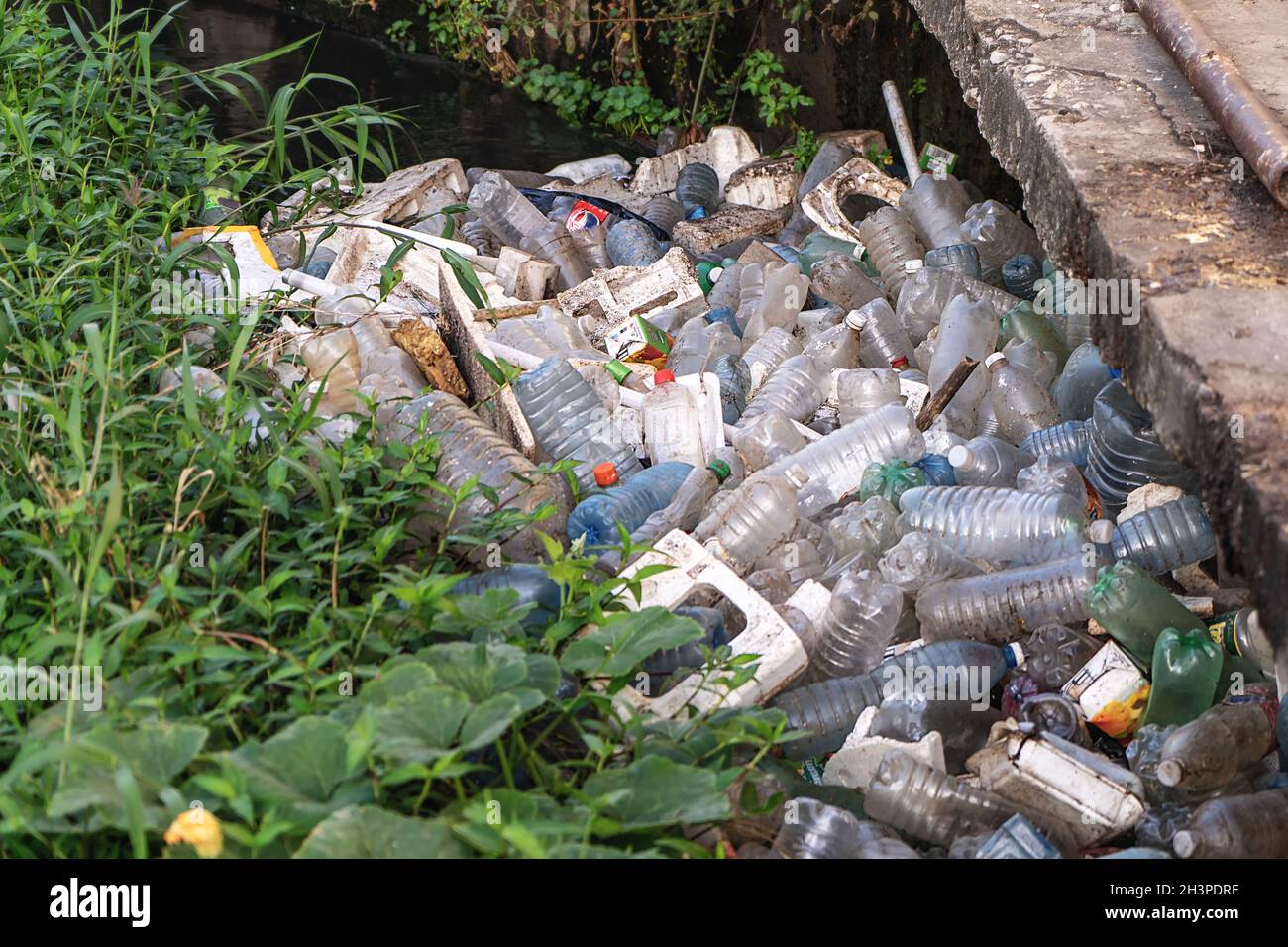 Plastic debris accumulated on the edge of a river Stock Photo