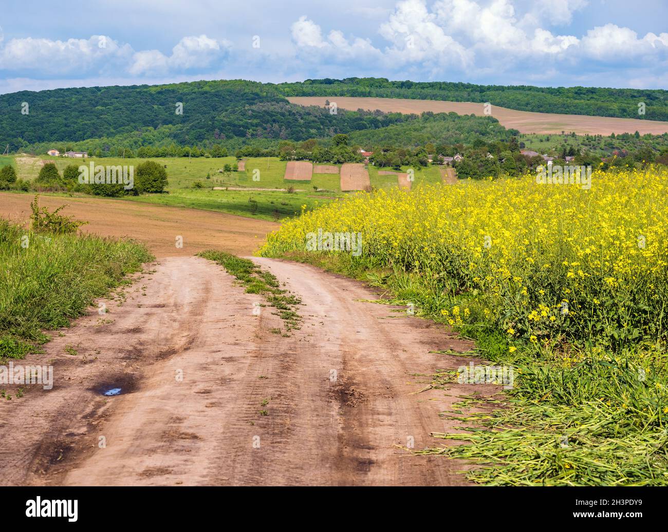 Spring countryside view with dirty road hi-res stock photography and ...