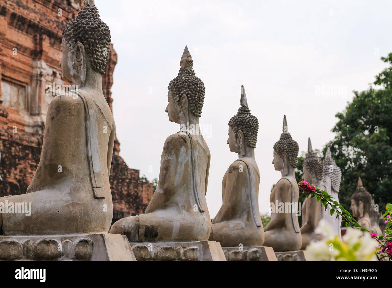 Row of Seated Buddha Statues at Wat Yai Chai Mongkon Buddhist temple in Ayutthaya Stock Photo