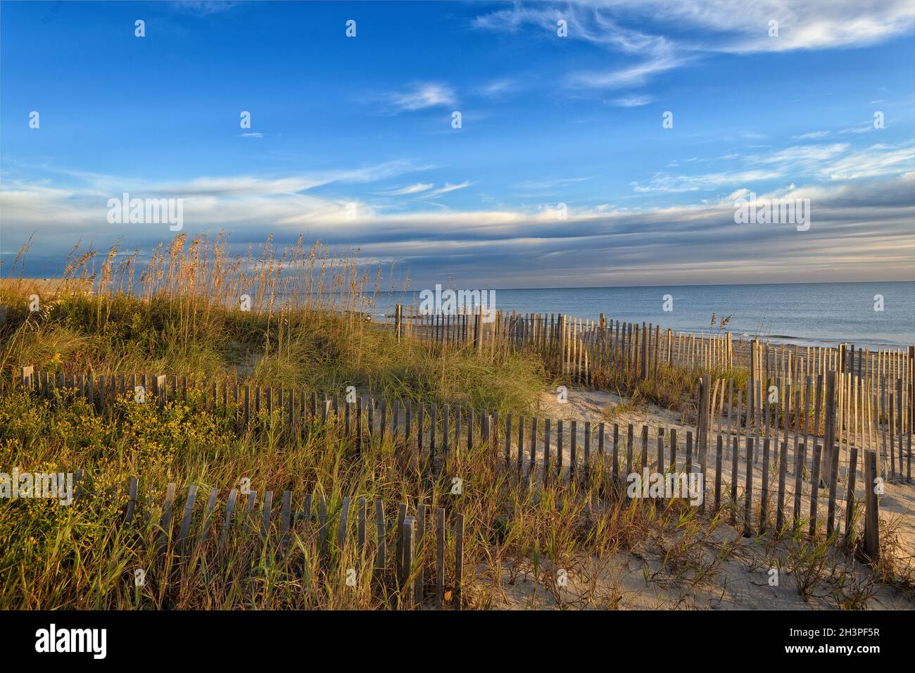 Wooden fences and sea oats, Nags Head North Carolina, Outer Banks Stock Photo