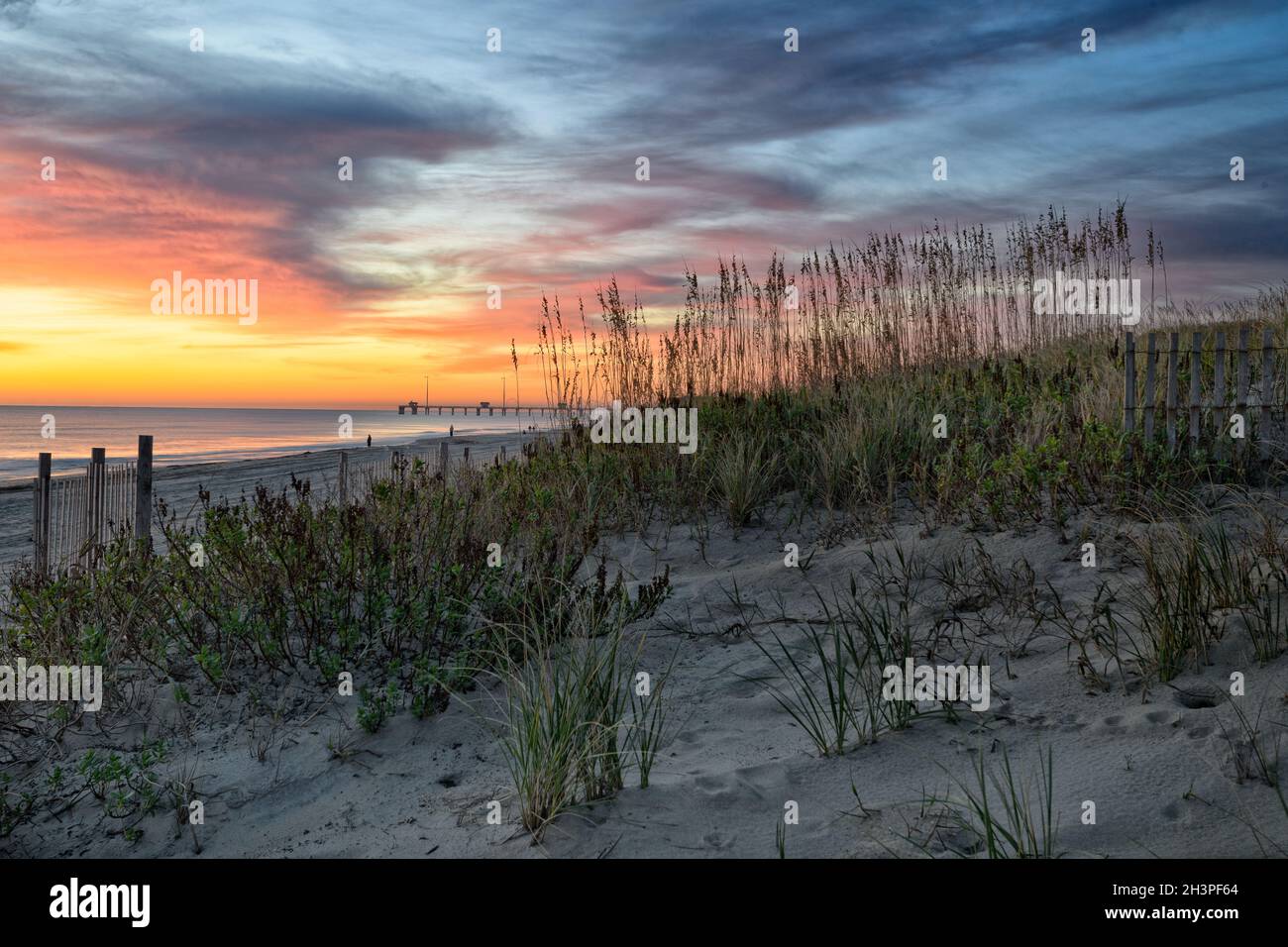 Wooden fences and sea oats at predawn, Nags Head, North Carolina, Outer Banks Stock Photo