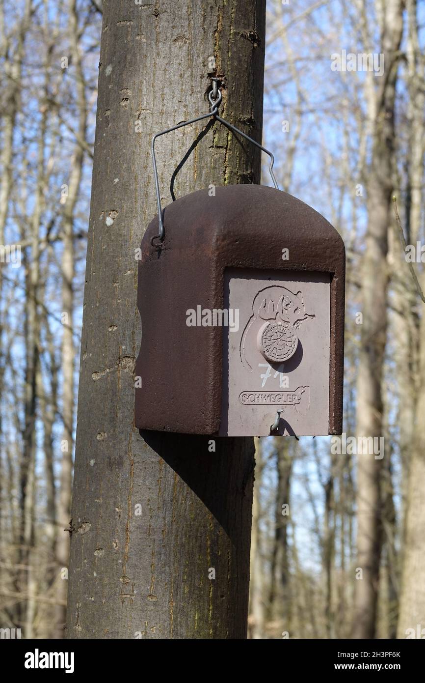 Nestbox for doormouse Stock Photo