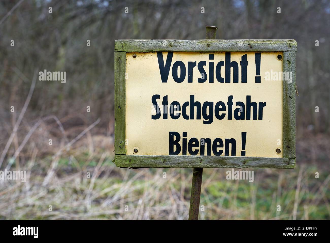 Sign at the edge of the forest with the inscription Caution Danger of stinging bees Stock Photo