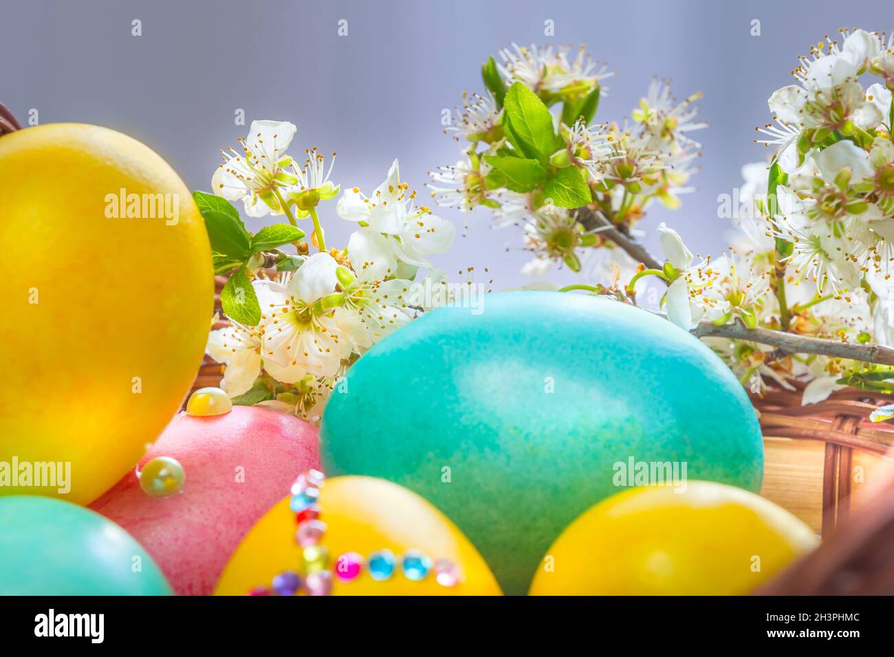 Easter eggs, tree flower branch Stock Photo