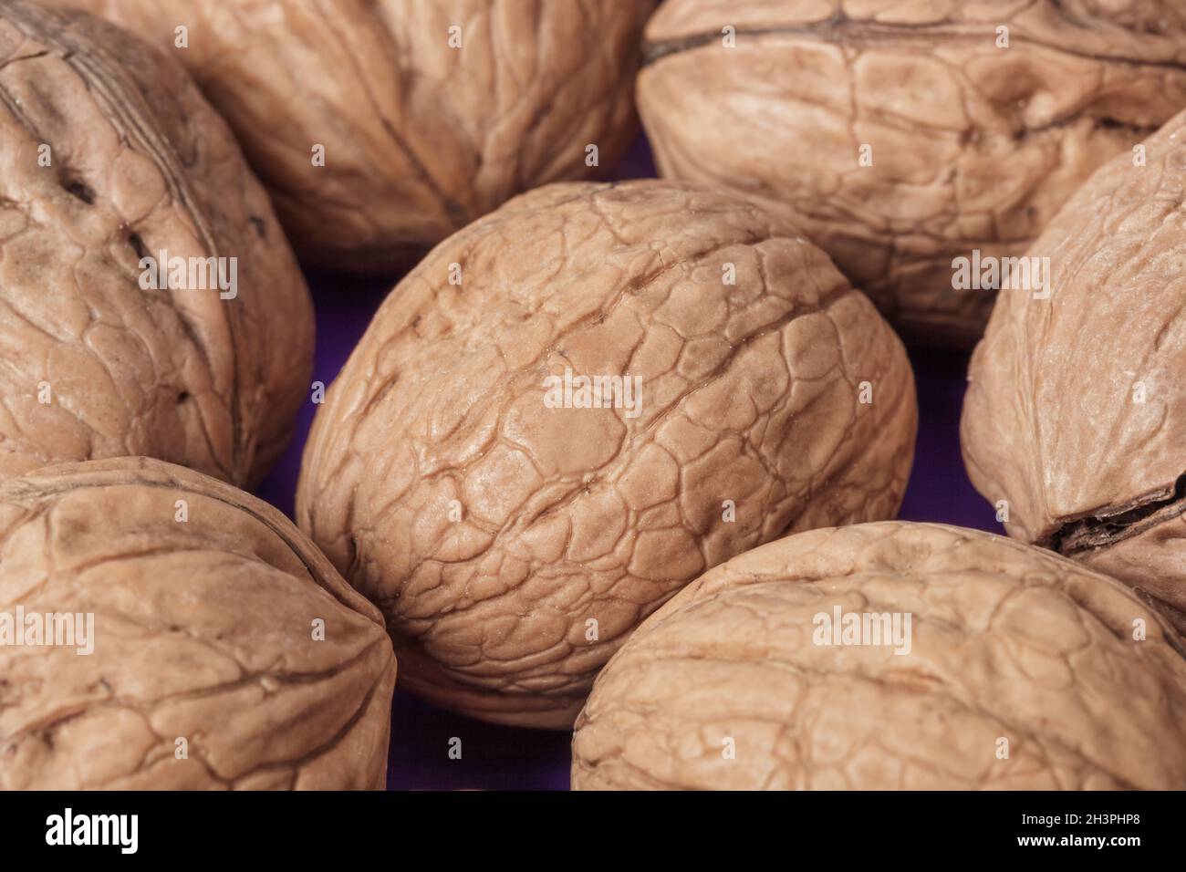 Ripe walnuts Stock Photo