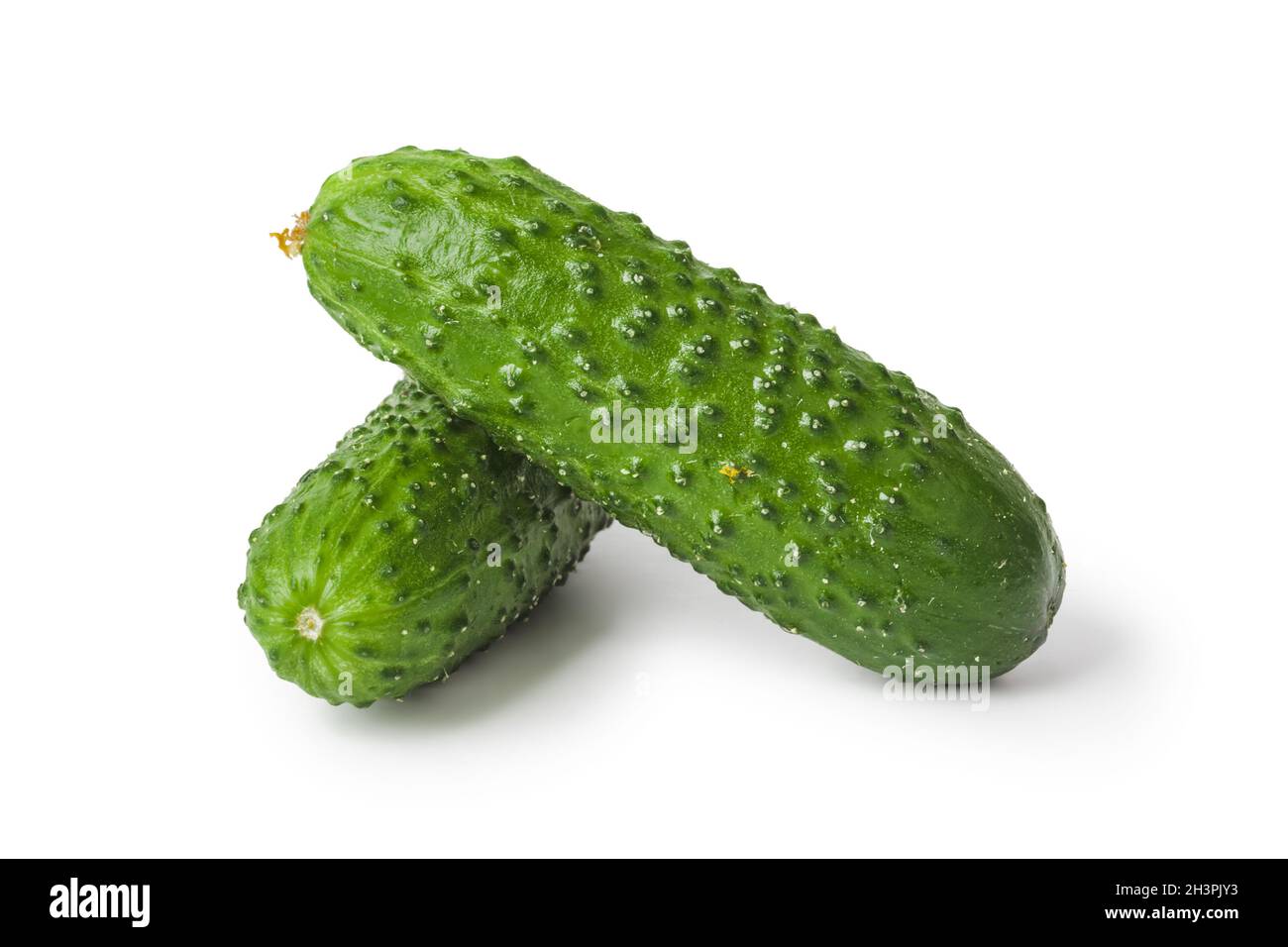 Fresh cucumbers Stock Photo