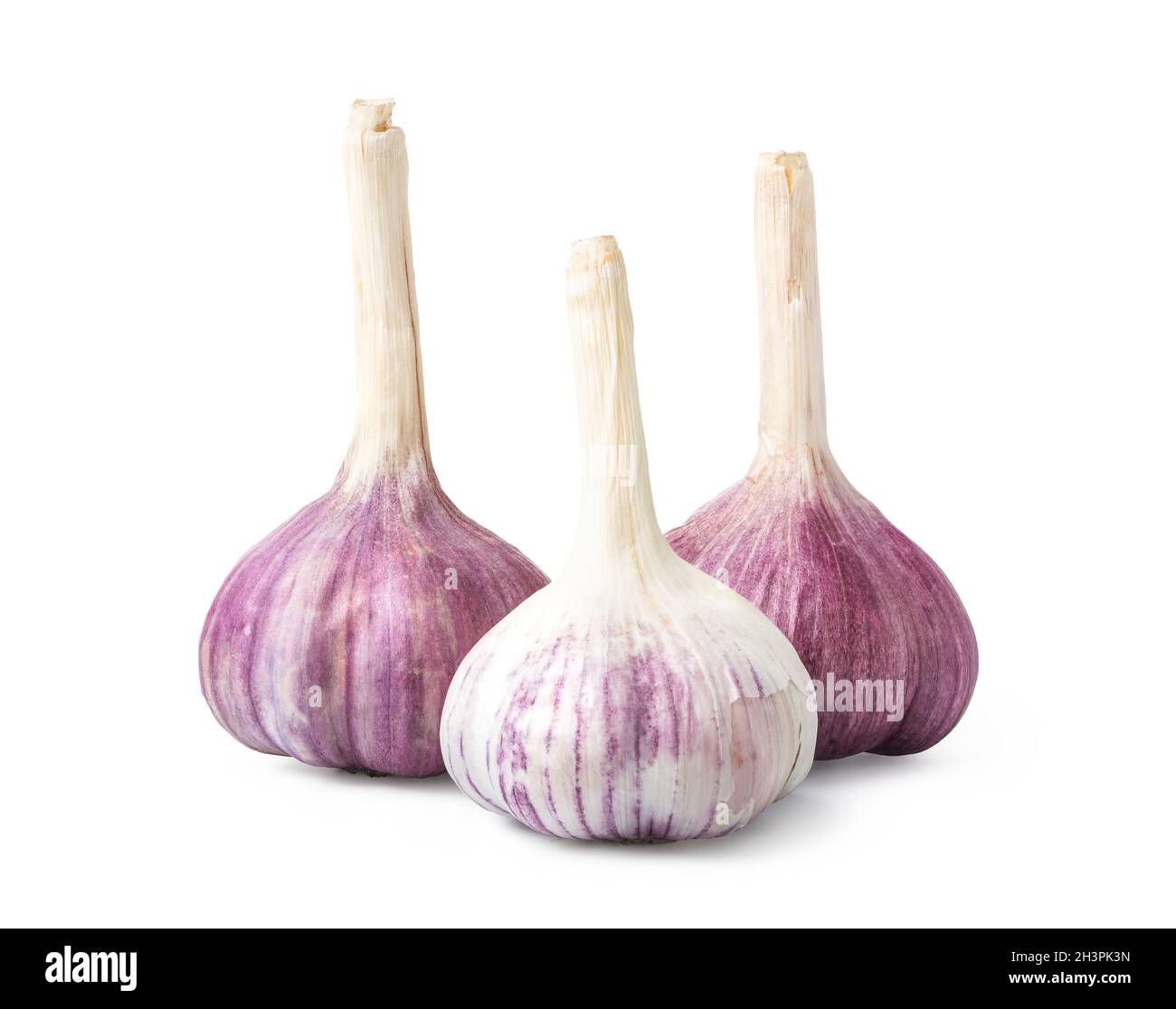 Three garlic heads Stock Photo Alamy