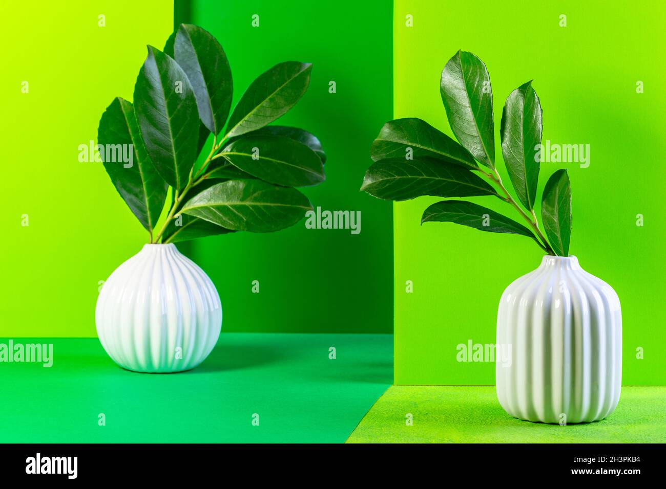 Ceramic vases with evergreen branches. Stock Photo