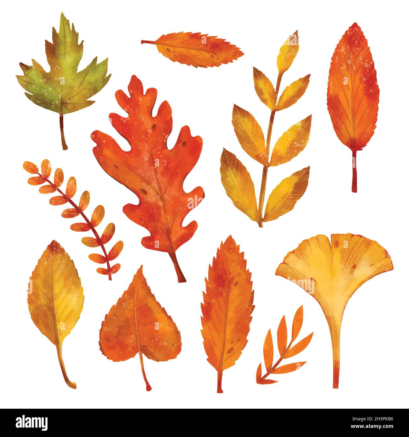 watercolor autumn leaves collection vector design illustration Stock ...