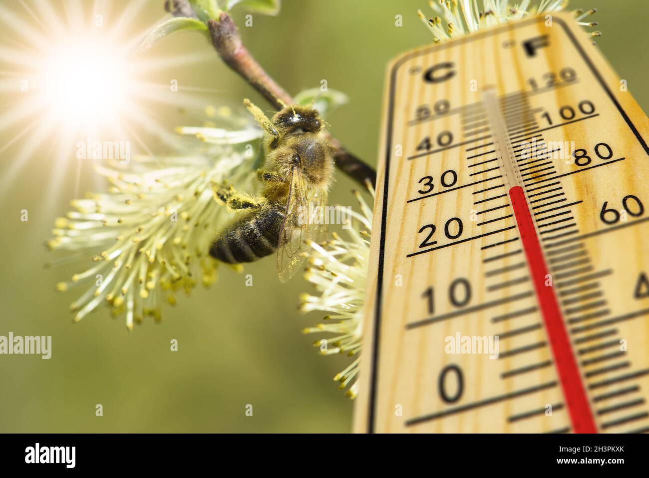 Warm temperature on thermometer at springtime Stock Photo