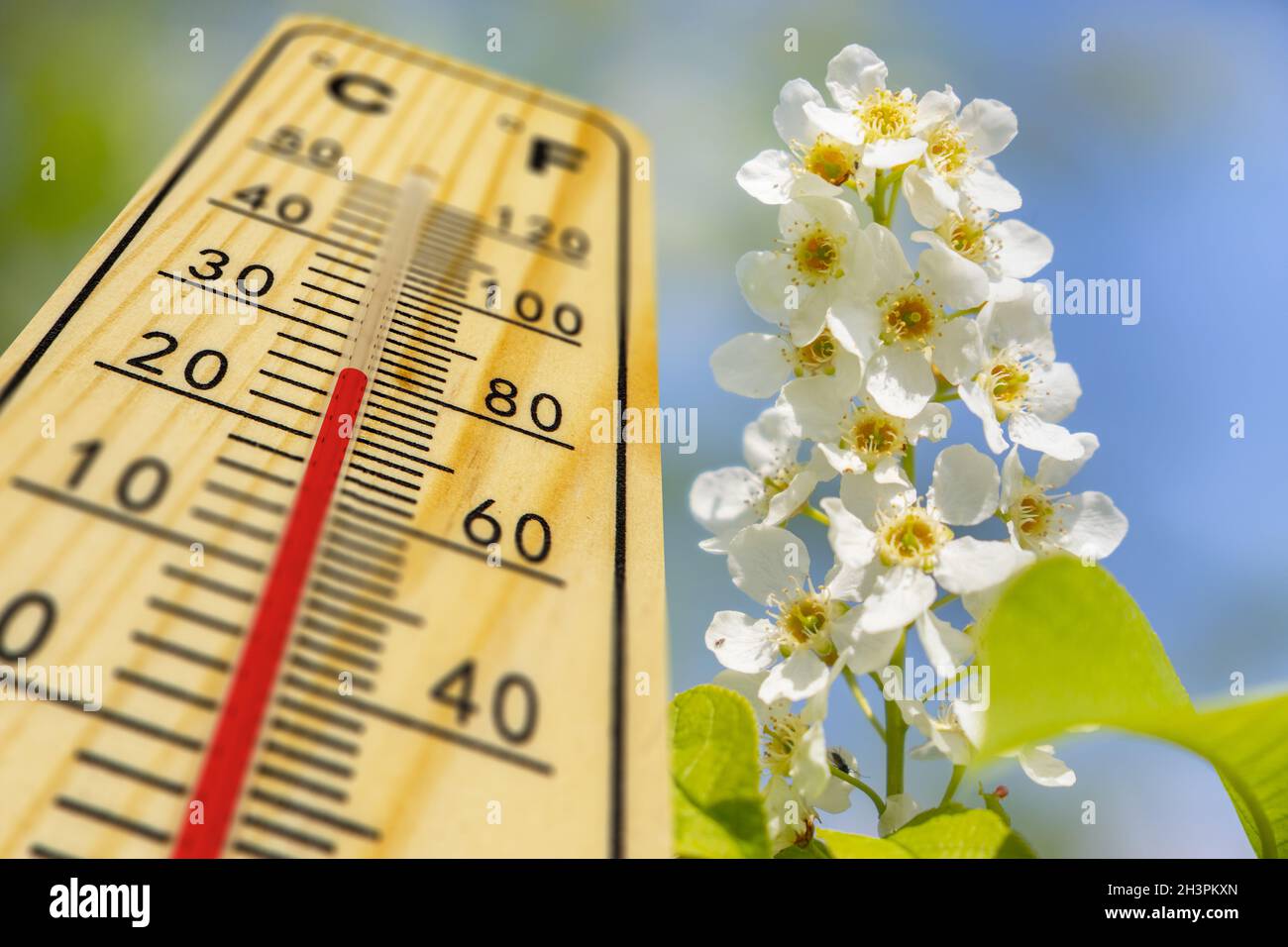Warm temperature on thermometer at springtime Stock Photo Alamy