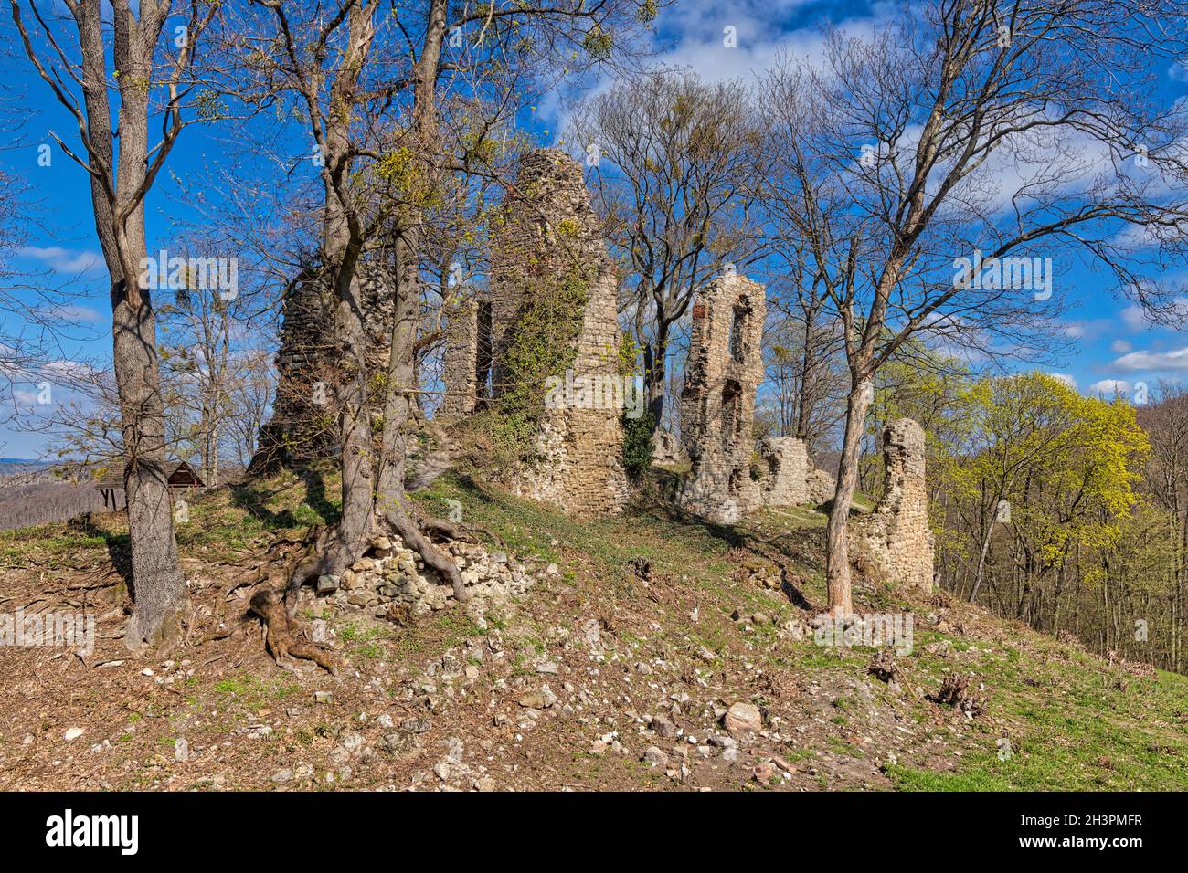 Castle ruin Stecklenburg near Stecklenberg in the Harz mountains Stock Photo