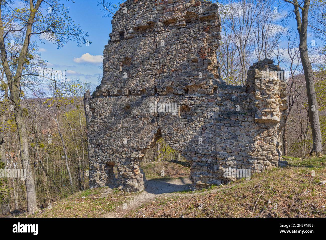 Castle ruin Stecklenburg near Stecklenberg in the Harz mountains Stock Photo