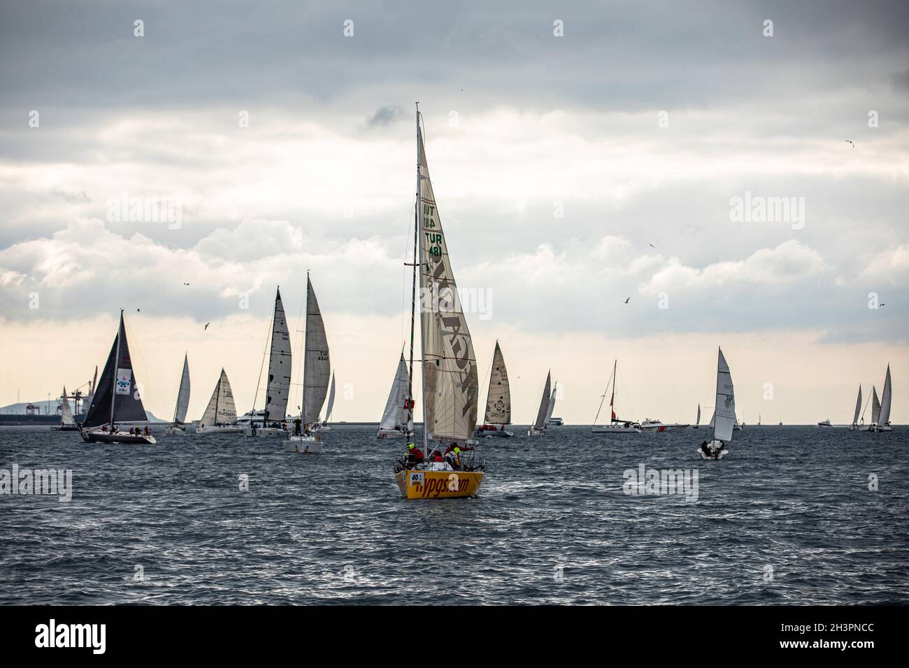 presidential international yacht race