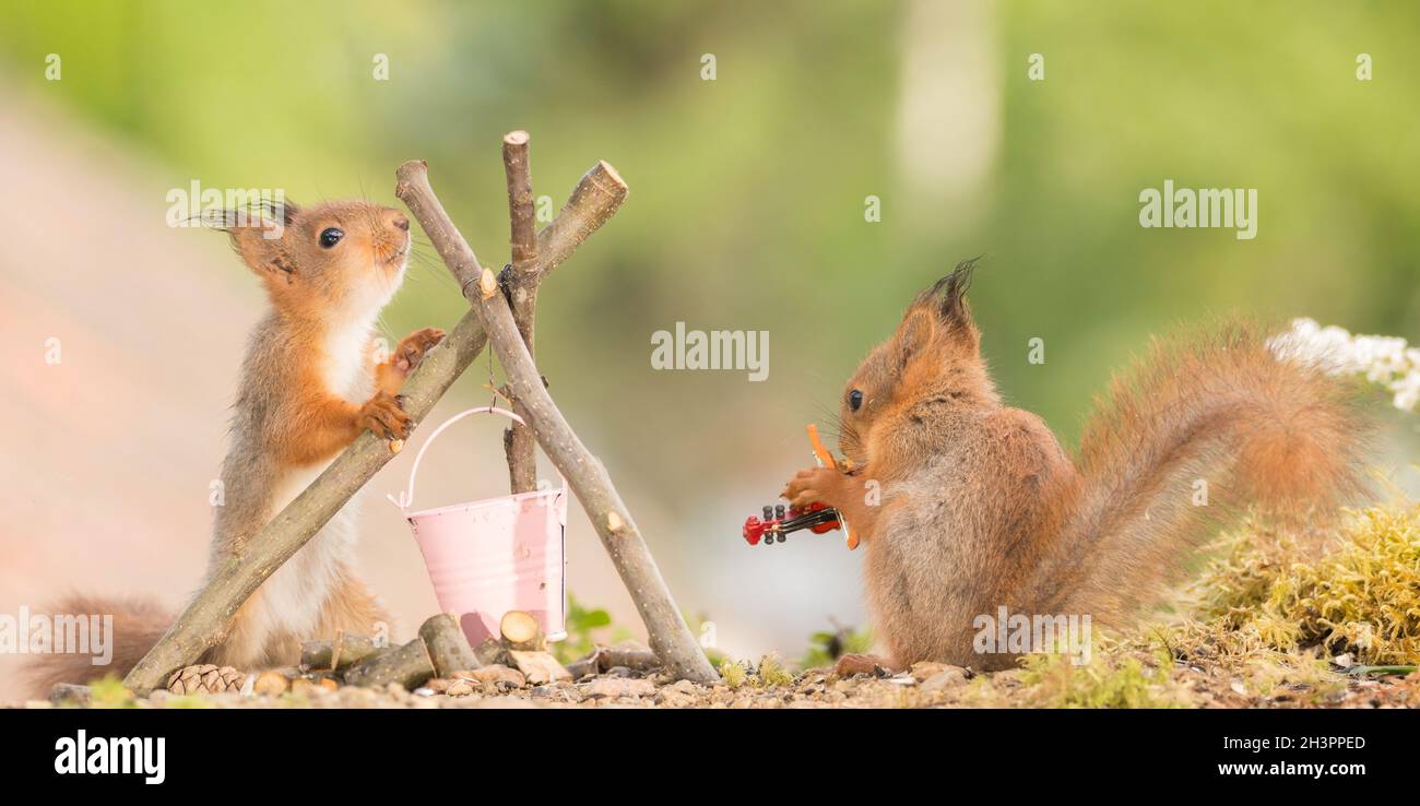 Camping instruments hi-res stock photography and images - Alamy