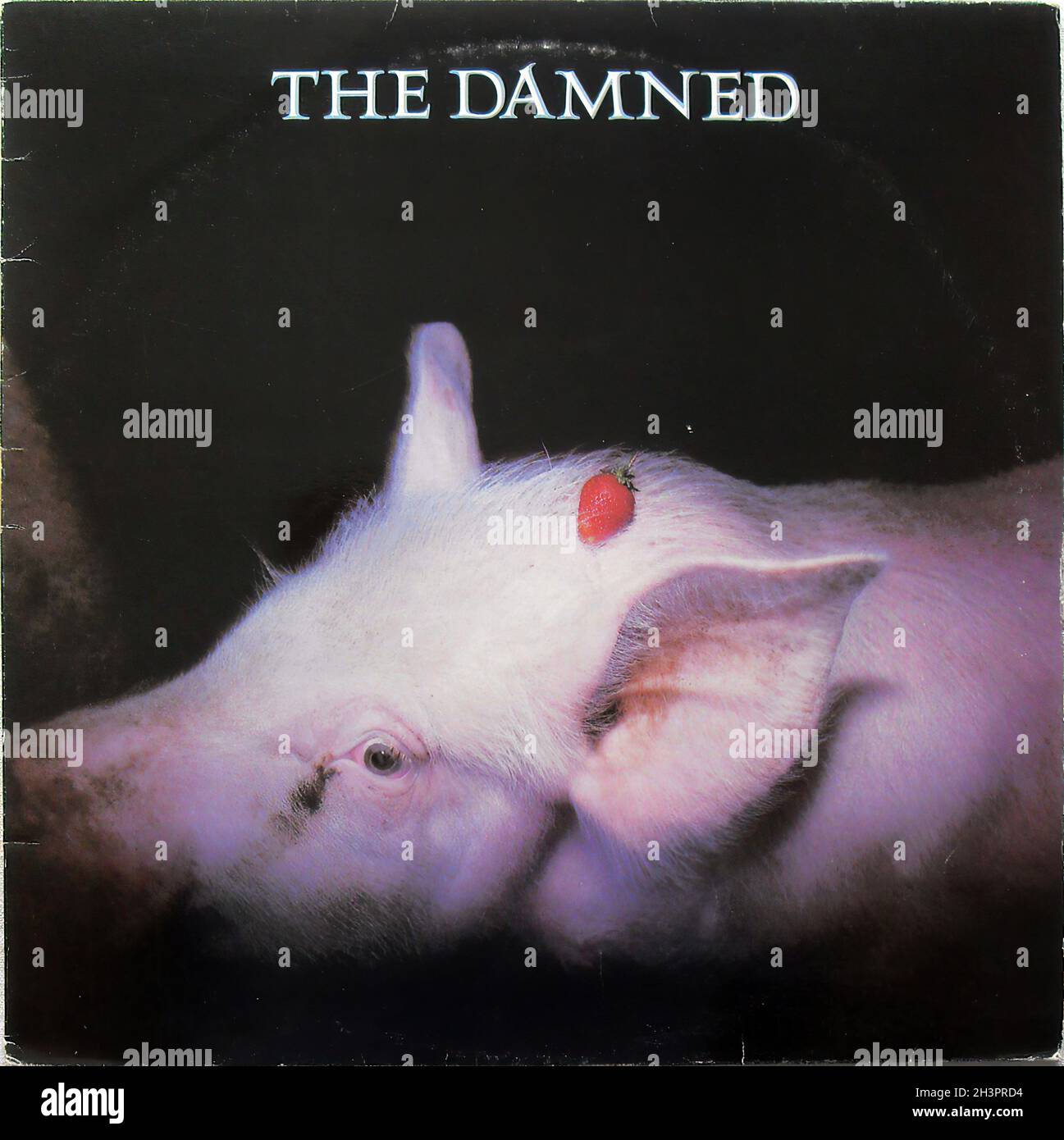 LP：THE DAMNED STRAWBERRIES ストロベリーズ ダムド：帯付