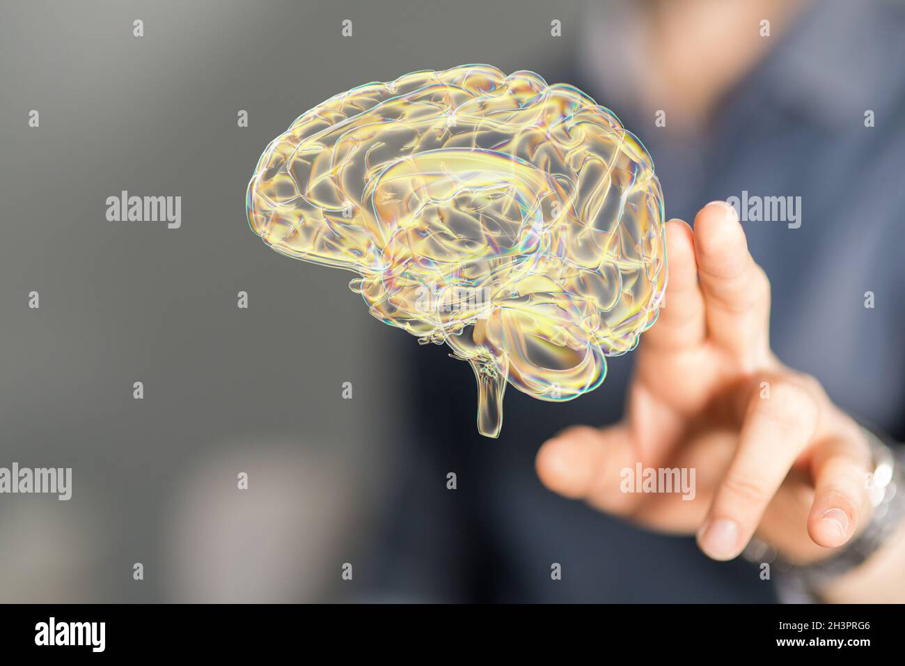 3D rendering of a man pointing at a human brain anatomical model Stock ...