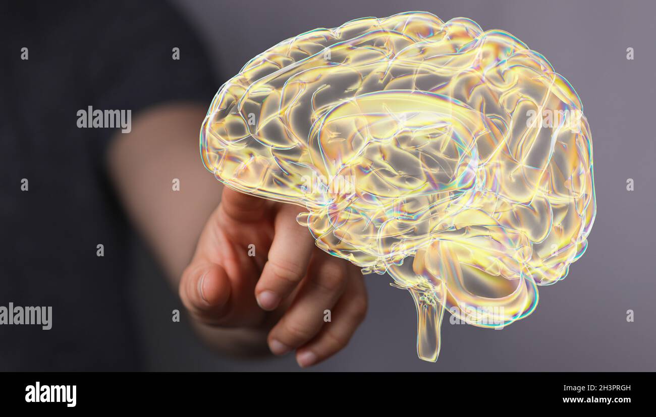 3D rendering of a man pointing at a human brain anatomical model Stock ...