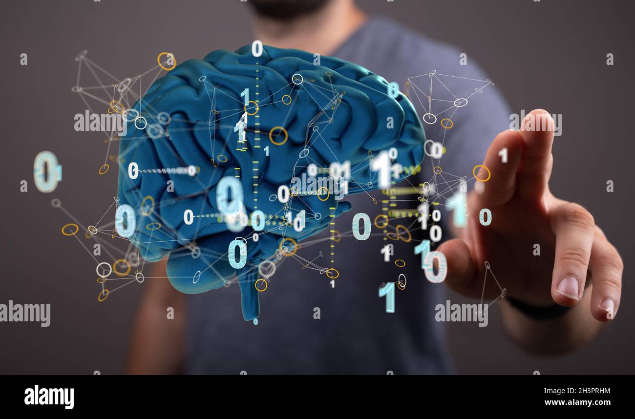 3D rendering of a man pointing at a human brain anatomical model Stock ...