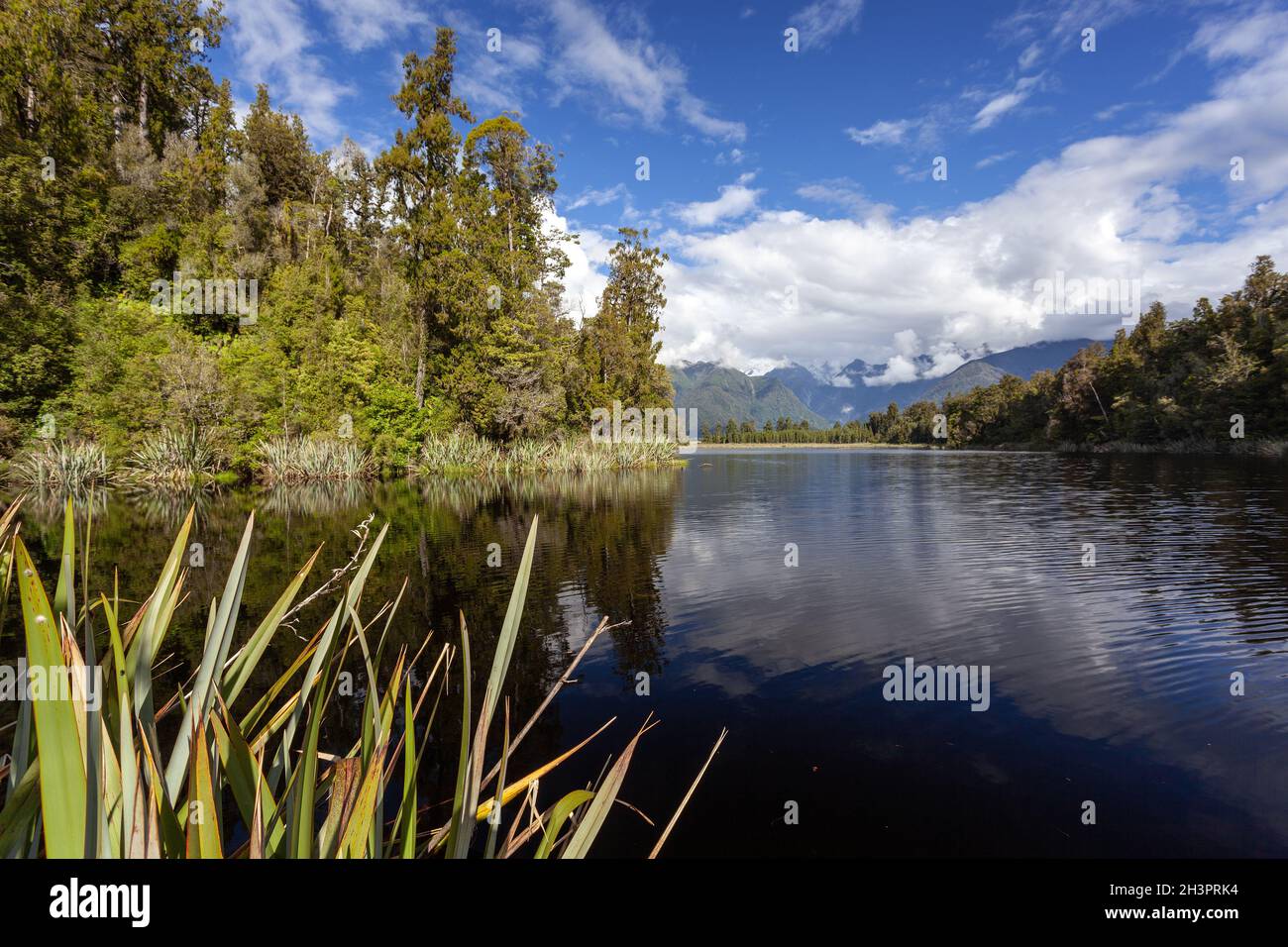 Scenic view of Lake Matheson in New Zealand in summertime Stock Photo ...