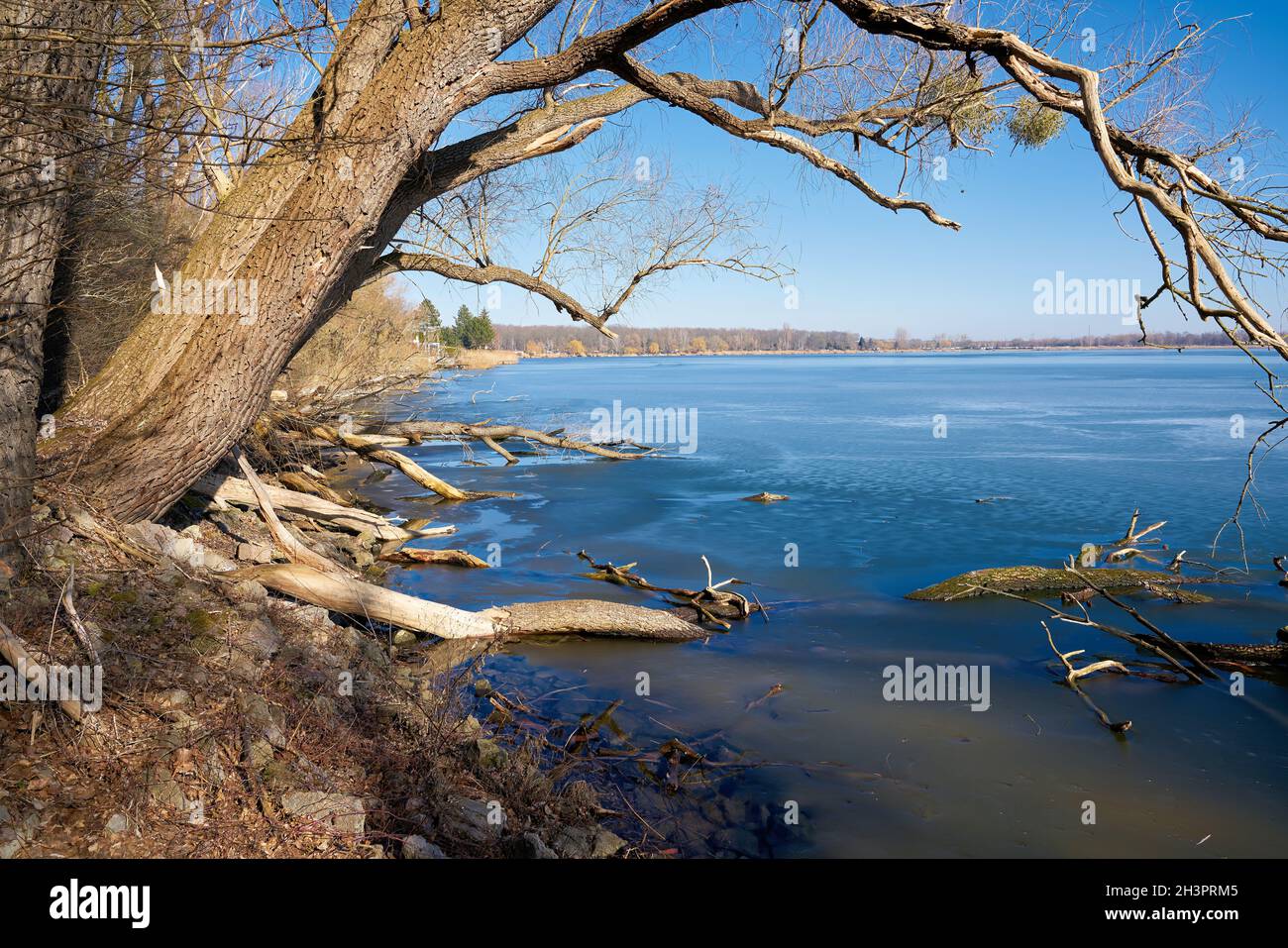 Melting ice at the end of winter at the Lake Barleber See near Magdeburg in Germany Stock Photo