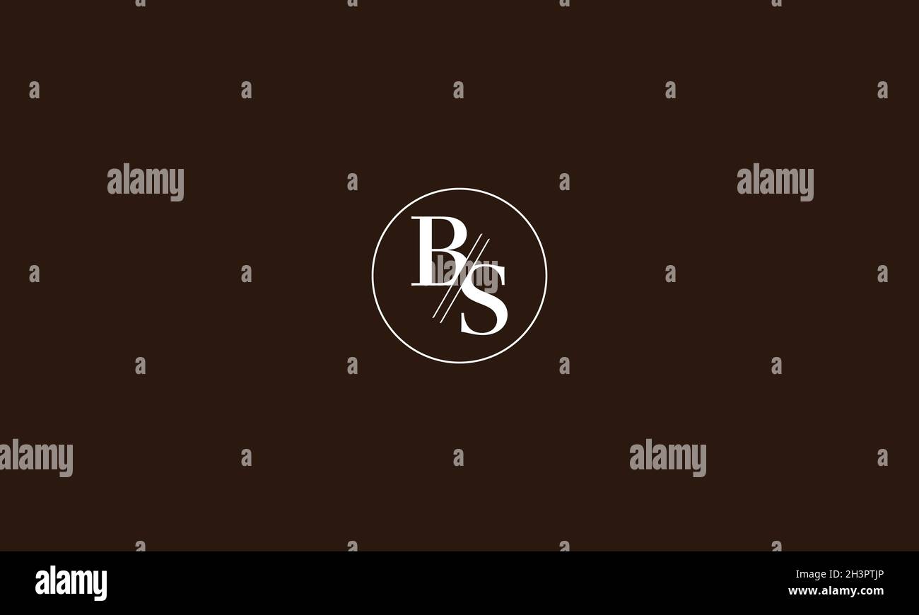 LETTERS BS LOGO DESIGN WITH NEGATIVE SPACE EFFECT FOR ILLUSTRATION USE Stock Vector