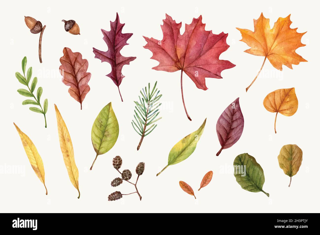 watercolor autumn leaves collection vector design illustration Stock ...