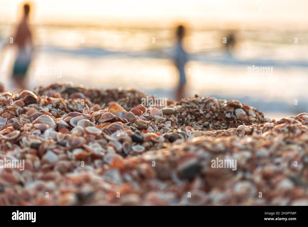 Sunset on the Mediterranean Sea. Coast with heaps of seashells. Silhouettes of walking people Stock Photo
