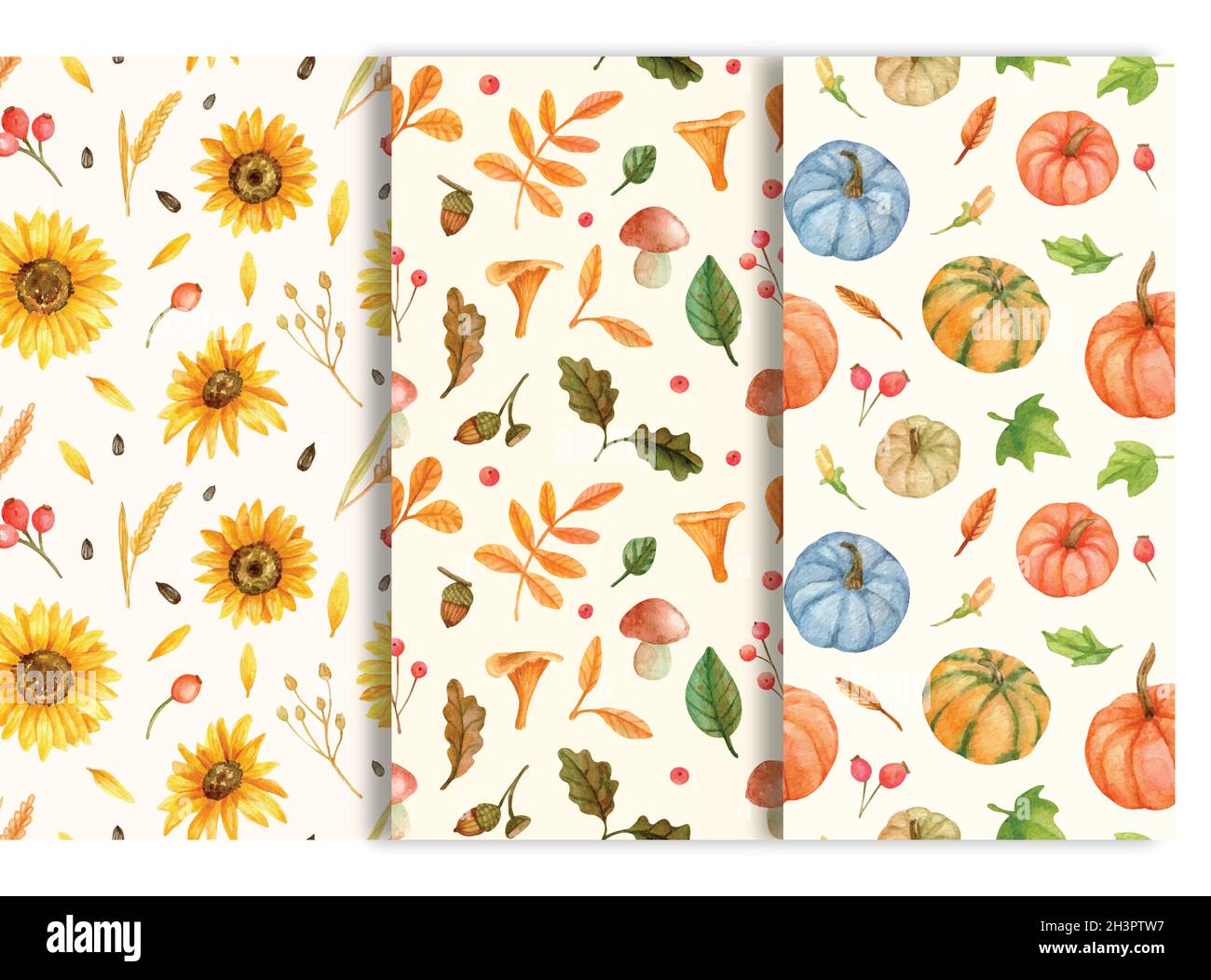 watercolor autumn patterns collection vector design illustration Stock Vector