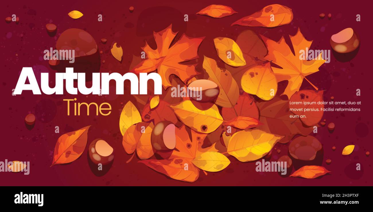 flat autumn background vector design illustration Stock Vector