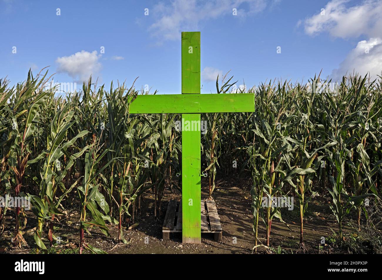 Action Green Crosses. Stock Photo