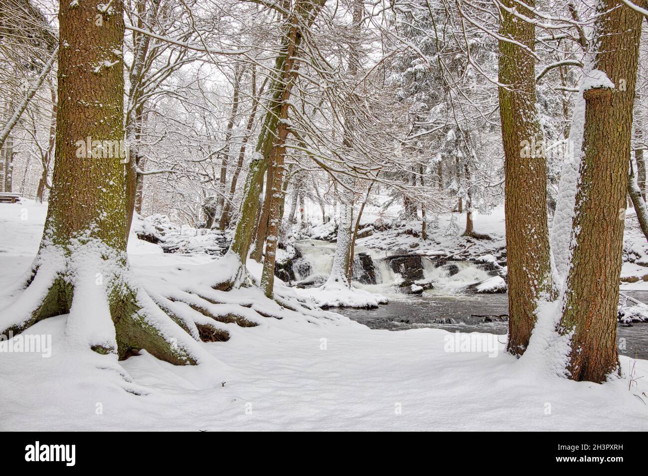 Winter landscape Harz Selketal Selke in winter Stock Photo