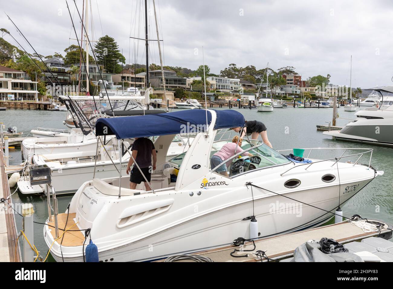 Owners cleaning a Sea Ray boat at a marina in Pittwater,Sydney,Australia Stock Photo Alamy