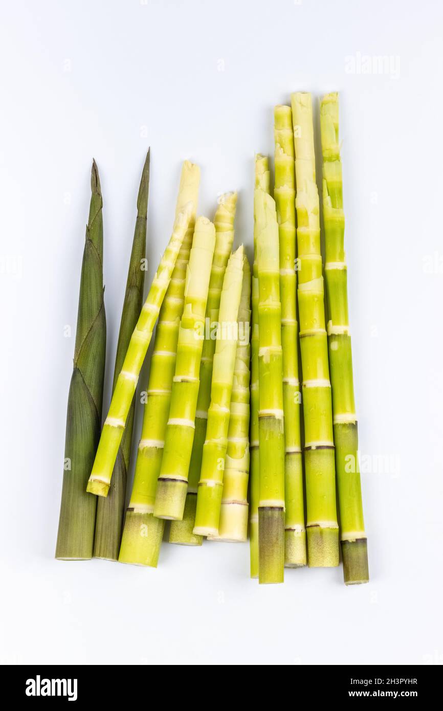 Fresh little bamboo shoots isolated Stock Photo