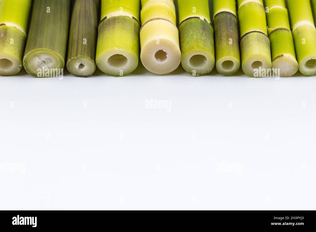 Fresh little bamboo shoots isolated Stock Photo