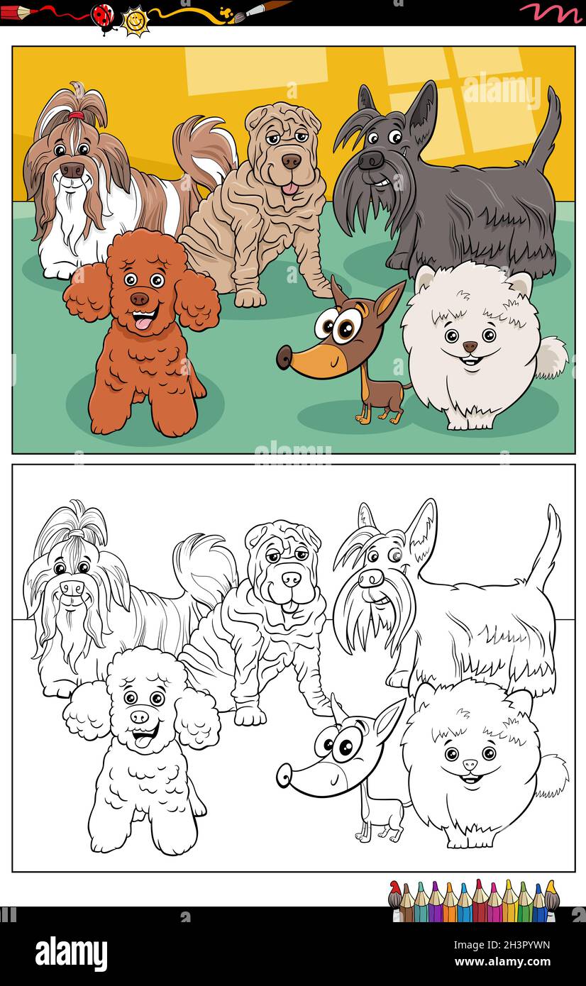 Cartoon purebred dogs characters coloring book page Stock Photo - Alamy