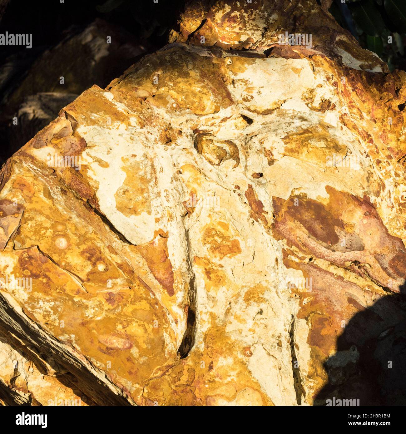 Lameroo High Resolution Stock Photography and Images - Alamy