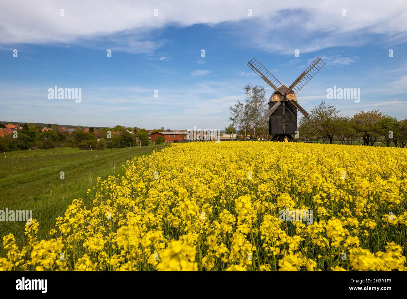 Windmill Sargstedt in the Huy Stock Photo