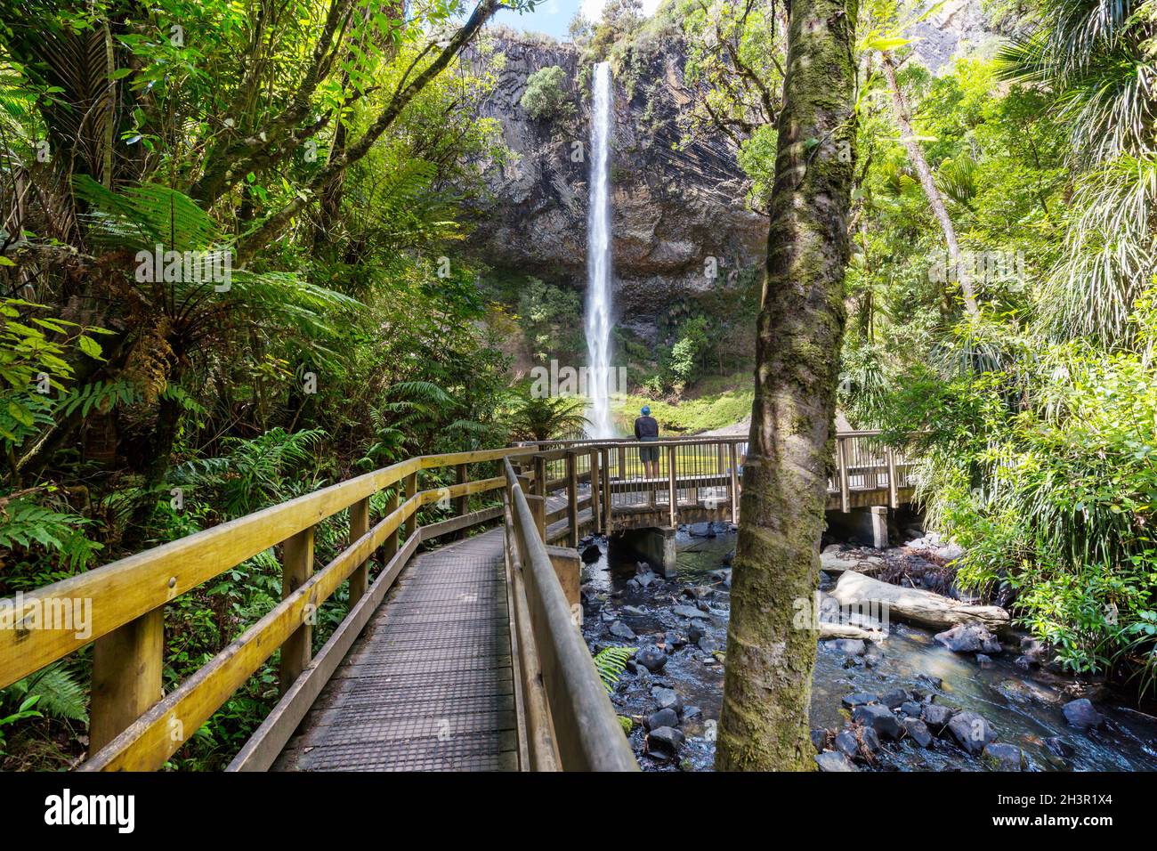 New Zealand waterfall Stock Photo - Alamy