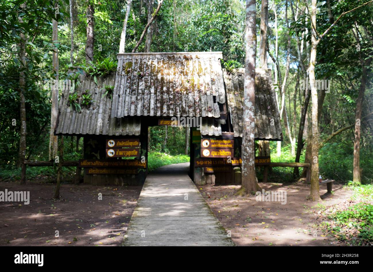 Gate entrance of Namtok Thi Lo Su Waterfall in jungle forest of Umphang