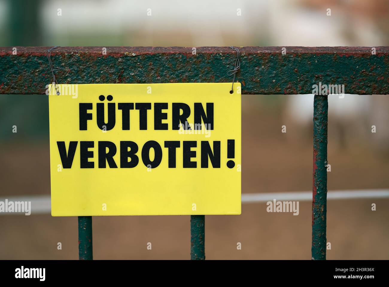 Sign with the inscription Feeding Prohibited (FÃ¼ttern verboten) on a fence Stock Photo