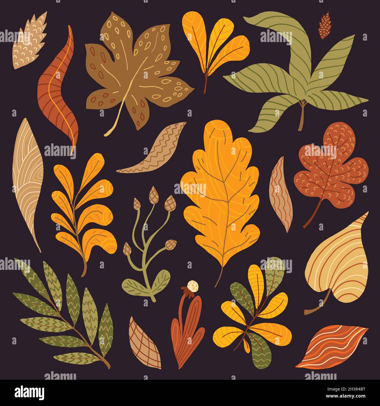 hand drawn autumn leaves collection vector design illustration Stock ...