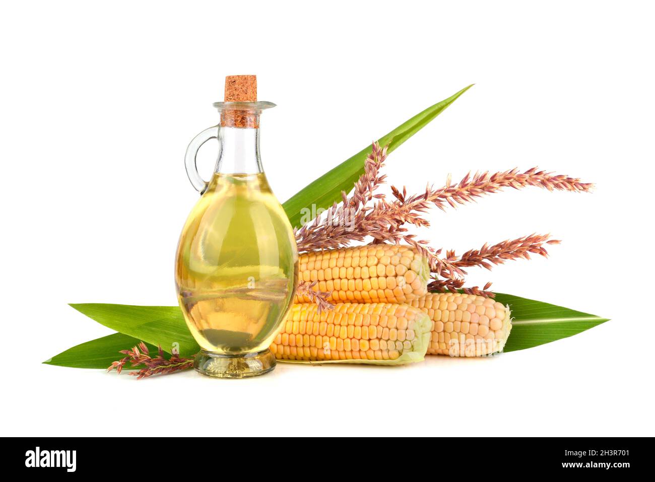 Corn oil with cobs Stock Photo