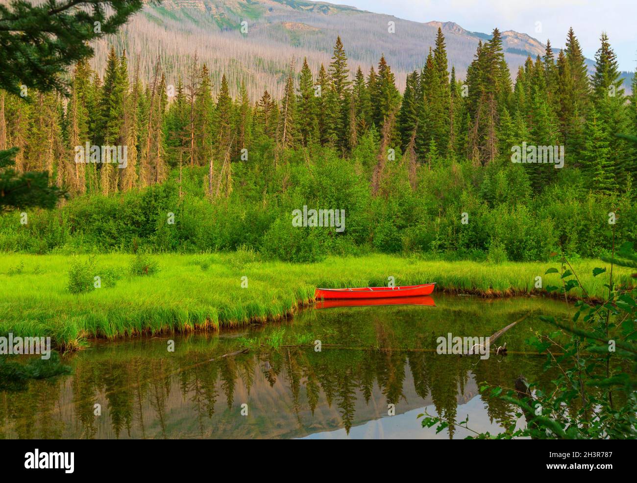 Boat in Canada Stock Photo Alamy