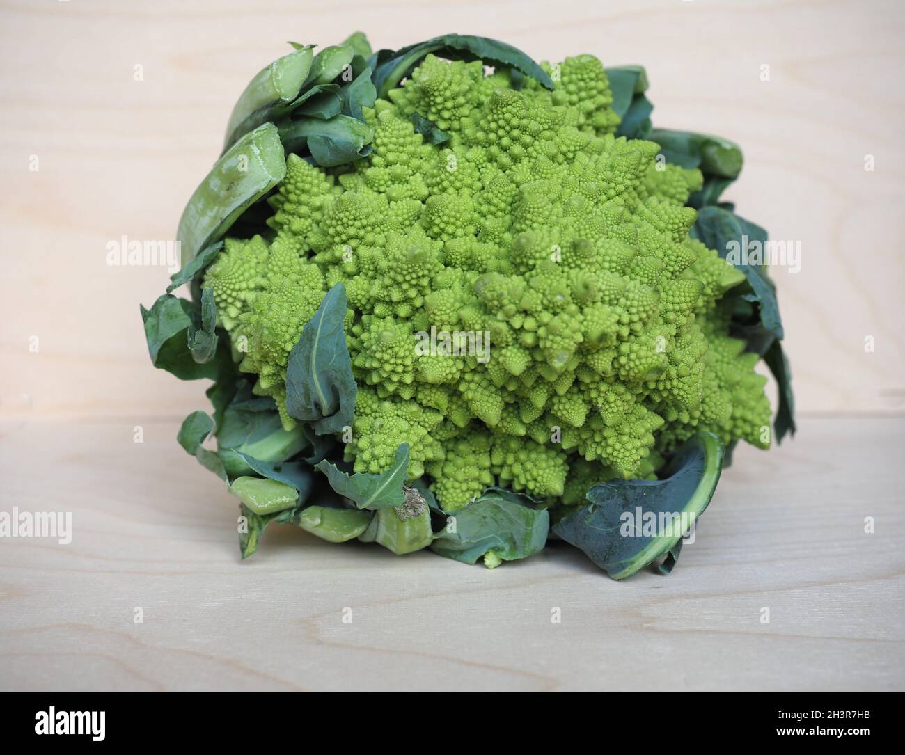 romanesco broccoli (scientific name Brassica oleracea aka Romanesque cauliflower or Buzzy Broc