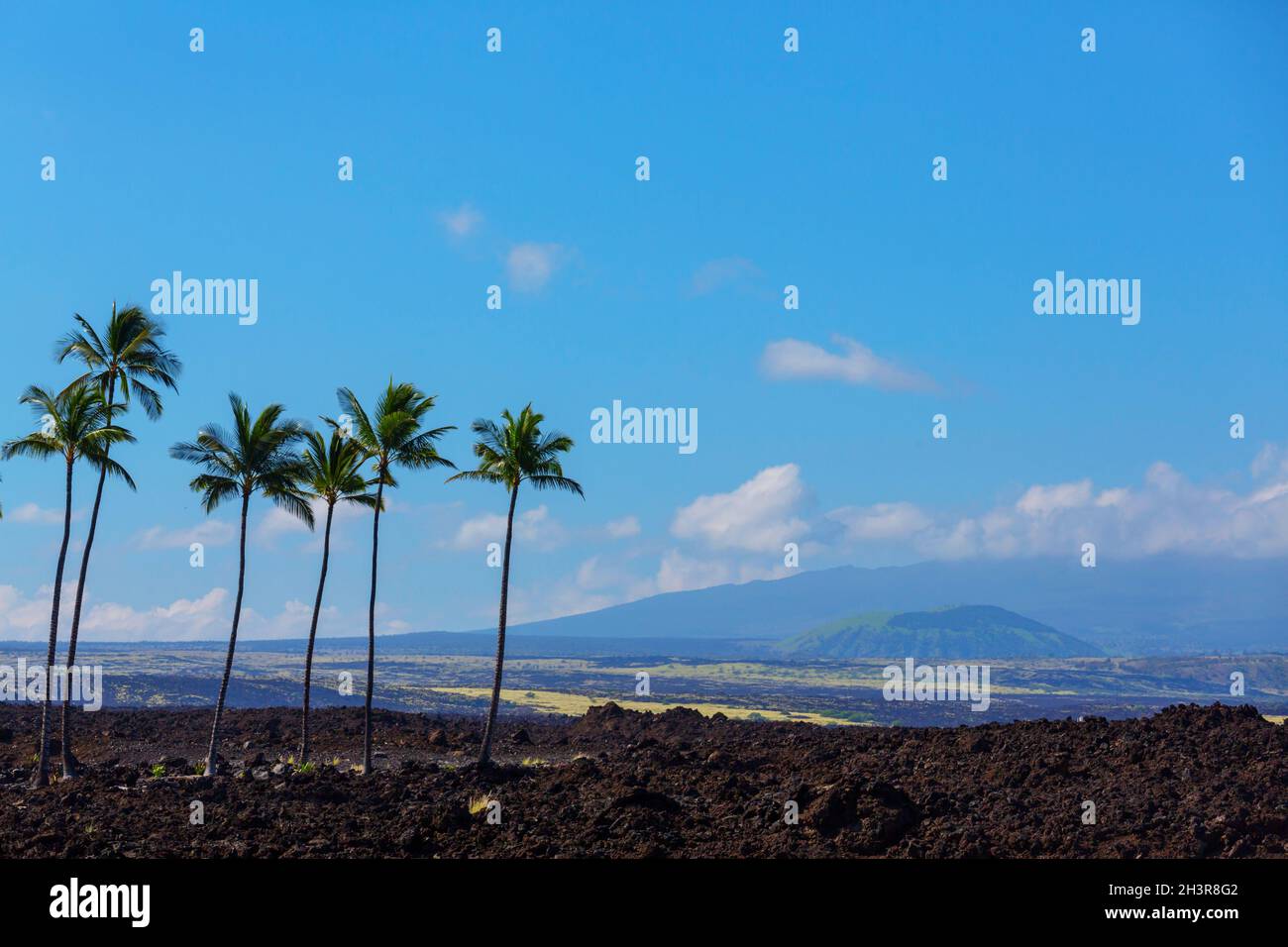 Big island landscapes Stock Photo - Alamy