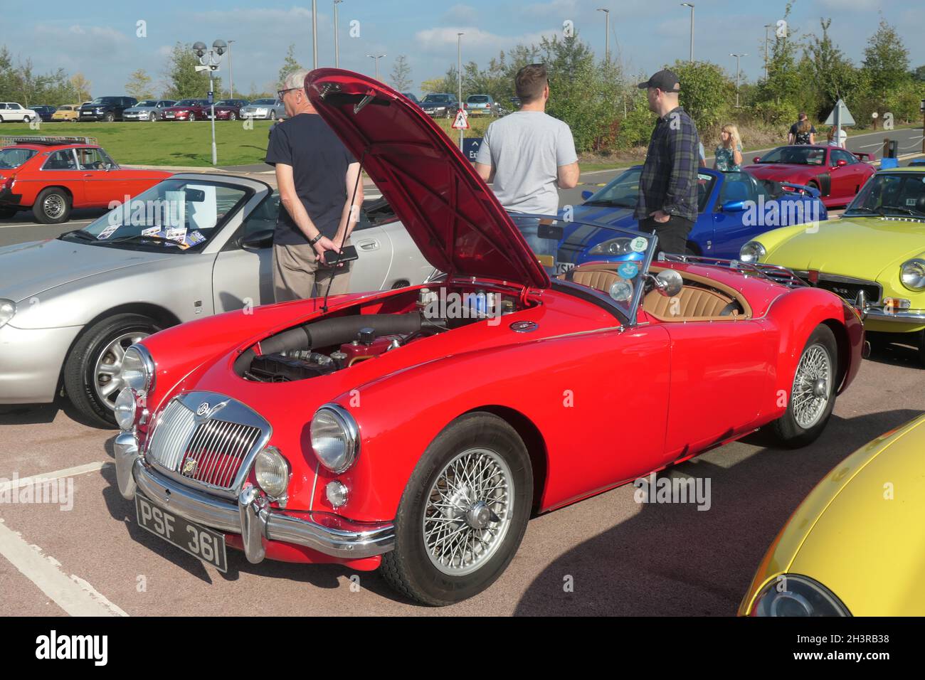 MG car rally at The British car museum Gaydon UK Stock Photo - Alamy